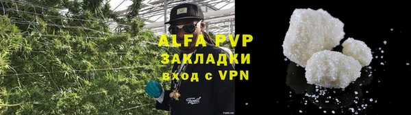 PSILOCYBIN Кулебаки