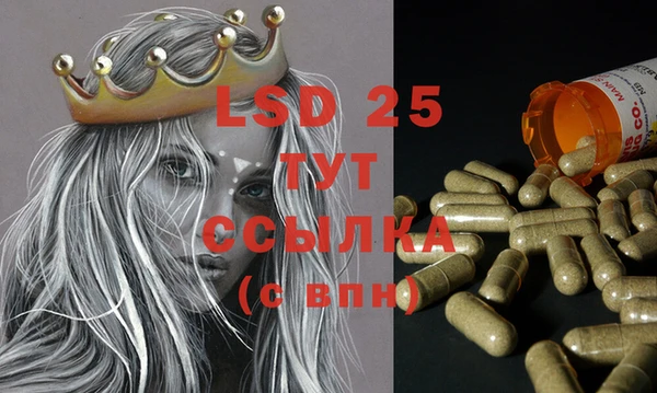 PSILOCYBIN Кулебаки