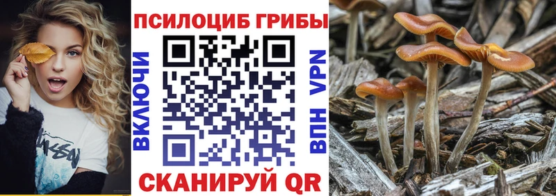 Галлюциногенные грибы мухоморы  Казань 